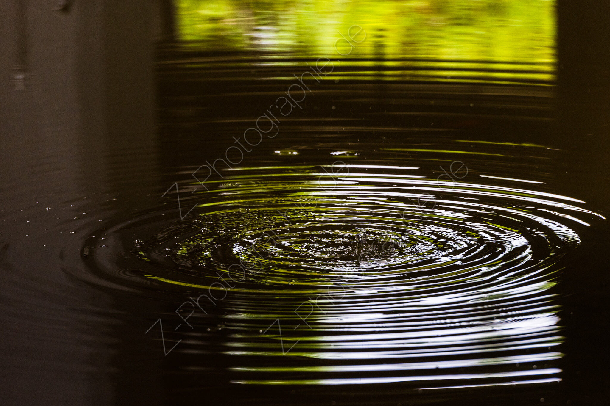 Wassergarten Reden, Schiffweiler, Germany