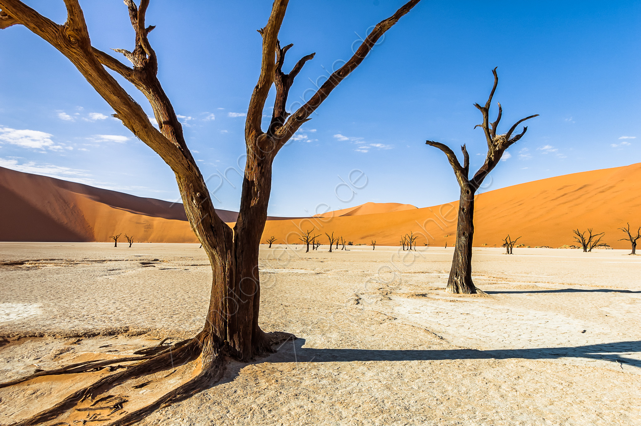 Sossusvlei, Namibia