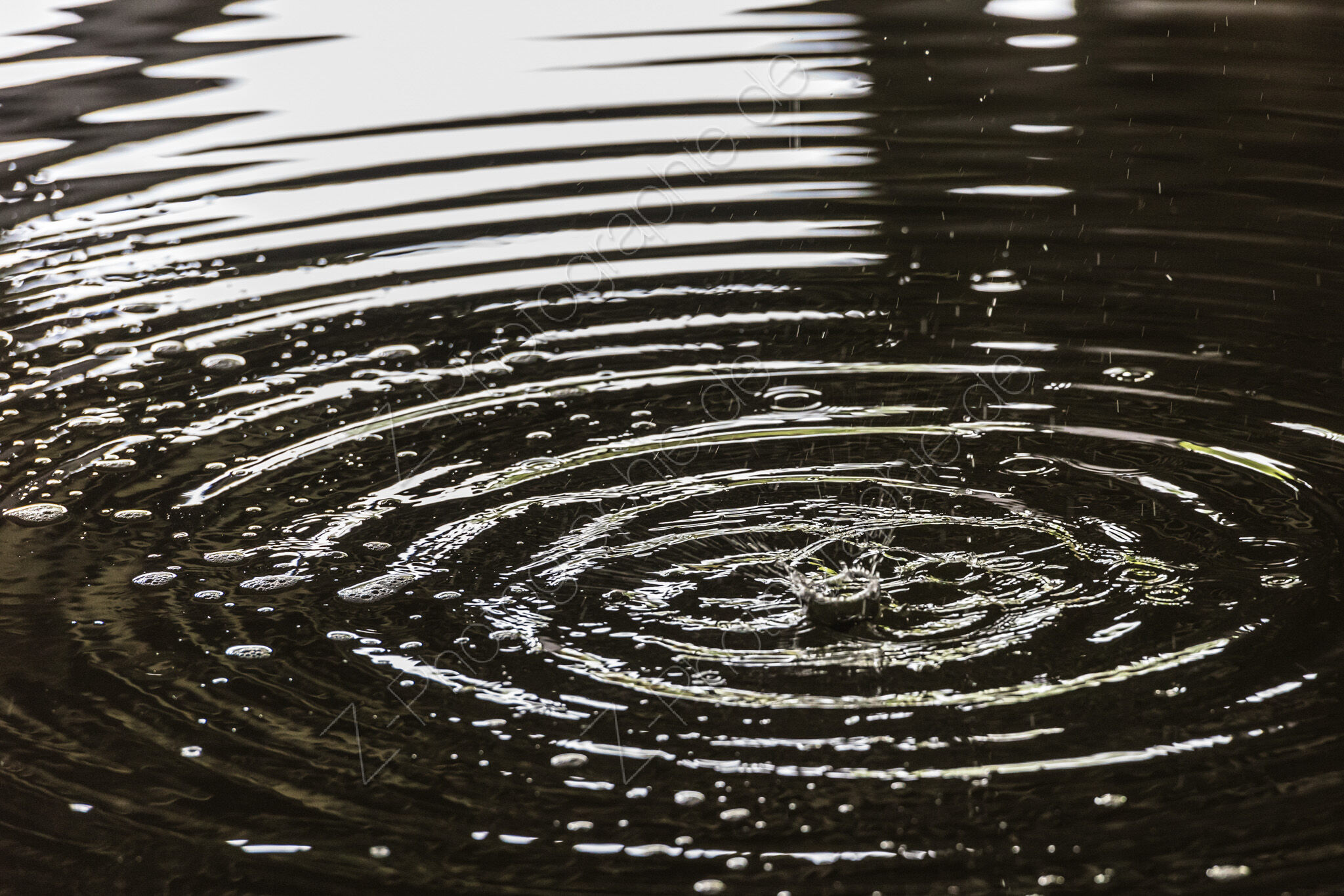 Wassergarten Reden, Schiffweiler, Germany